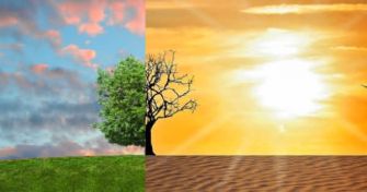 Nicht nur die Umwelt leidet: Wie der Klimawandel unsere Gesundheit gefährdet | apomio Gesundheitsblog