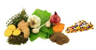 Antibiotika aus der Natur – Hilfe bei Erkältungen, Harnwegsinfekten und zur Steigerung der Abwehrkraft | apomio Gesundheitsblog