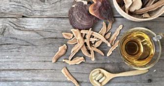 Mykotherapie - Wie Heilpilze helfen können | apomio Gesundheitsblog