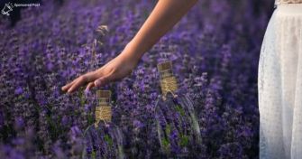 Pur und hochwertig: 100% naturreines Lavendel-Öl | apomio Gesundheitsblog