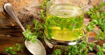 Die Brahmi-Pflanze: ein ayurvedisches Wunder? | apomio Gesundheitsblog