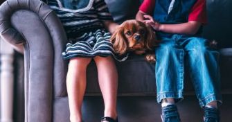 Tierhaarallergie - was nun? | apomio Gesundheitsblog