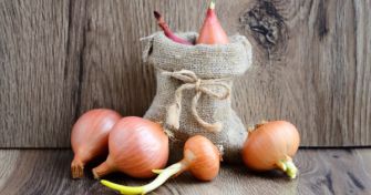 Zwiebelsäckchen - Natürliches Hilfsmittel bei Ohrenschmerzen | apomio Gesundheitsblog