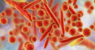 Erkrankung durch Bakterien - Mycoplasma Genitalium, die noch unbekannte Geschlechtskrankheit | apomio Gesundheitsblog