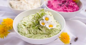 Blüten essen – lecker und gesund oder „nur“ hübsch? | apomio Gesundheitsblog