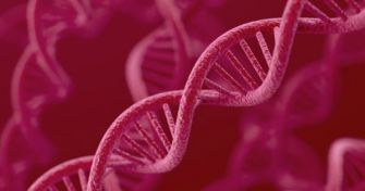 Blutgerinnungsstörung: Was ist das Von-Willebrand-Syndrom? | apomio Gesundheitsblog