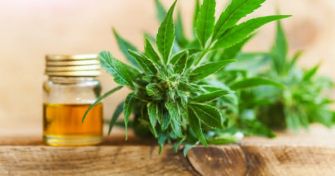 CBD Öl: Anwendung und Wirkung des Hanfsamenöls | apomio Gesundheitsblog