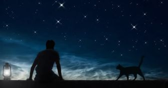 Wenn der Tag zur Nacht wird – Die Visionen der Tagträumer! | apomio Gesundheitsblog