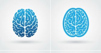 Enzephalitis: Wenn sich das Gehirn entzündet | apomio Gesundheitsblog