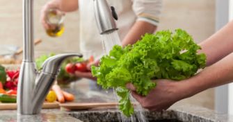 Die Welt der Enzyme | apomio Gesundheitsblog