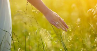 Hilfe bei Heuschnupfen durch Hypnose und Entspannungstechniken | apomio Gesundheitsblog