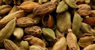 So gesund ist Kardamom | apomio Gesundheitsblog