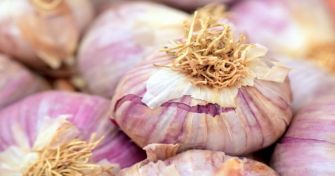 Knoblauch: Wunderknolle für die Gesundheit | apomio Gesundheitsblog