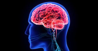 Meningitis: Entzündung der Hirnhäute erkennen | apomio Gesundheitsblog