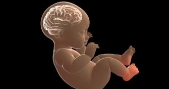 Mikrozephalie: Das bedeutet die Fehlentwicklung des Gehirns | apomio Gesundheitsblog