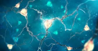 Neuropathie: Wenn die Nerven schmerzen | apomio Gesundheitsblog