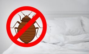 Wie kann man sich vor Parasiten schützen? | apomio Gesundheitsblog