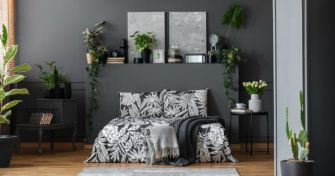 Pflanzen für ein gutes Raumklima | apomio Gesundheitsblog