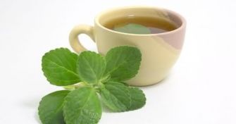 Der Boldo-Strauch | apomio Gesundheitsblog