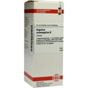 ANGELICA ARCHANGELICA URT D 1