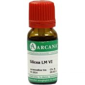 SCILLA ARCA LM 6