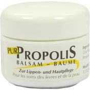 PROPOLIS PUR LIPPENBALSAM