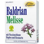 Baldrian-Melisse
