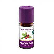 WINTERGREEN BIO
