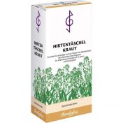 Hirtentäschelkraut