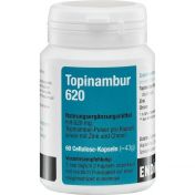 Topinambur 620