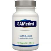 SAMethyl 200mg S-Adenosylmethionin Vegi