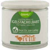 Igelstachelbart Pilzpulver