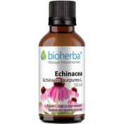 Echinacea