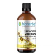 Hamamelis Virginiana