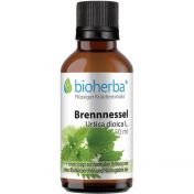Brennnessel