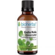 Gotu Kola