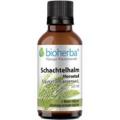 SCHACHTELHALM Horsetail