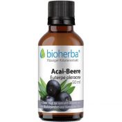 ACAI-BEERE
