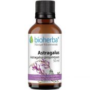 ASTRAGALUS