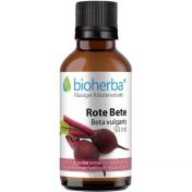 ROTE BETE Beta vulgaris