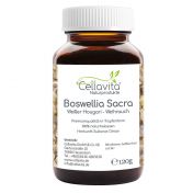 Wei?er Hougari - Weihrauch in Tropfenform - 120g