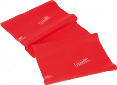 SISSEL-Fit Band Plus mittel