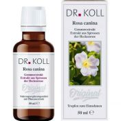 Gemmoextrakt Heckenrose