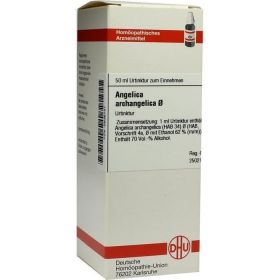 ANGELICA ARCHANGELICA URT D 1 günstig im Preisvergleich