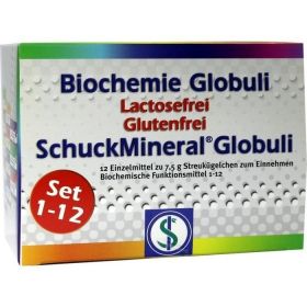 Biochemie Globuli Set 1-12 Lactosefrei günstig im Preisvergleich
