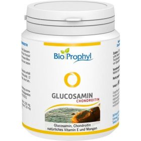 Gelenkkomplex Glucosamin 400mg Chondroitin 200mg günstig im Preisvergleich