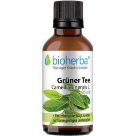 Grüner Tee günstig im Preisvergleich