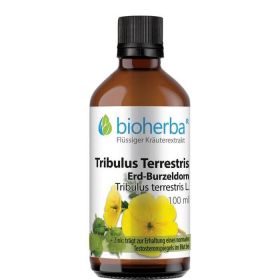 Tribulus Terrestris (Erdburzeldorn) günstig im Preisvergleich