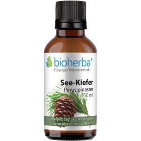 SEE-KIEFER Pinus pinaster günstig im Preisvergleich