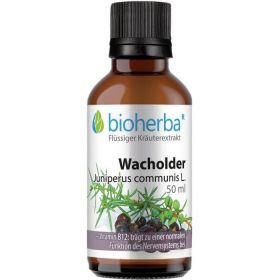 WACHOLDER Juniperus communis L. günstig im Preisvergleich